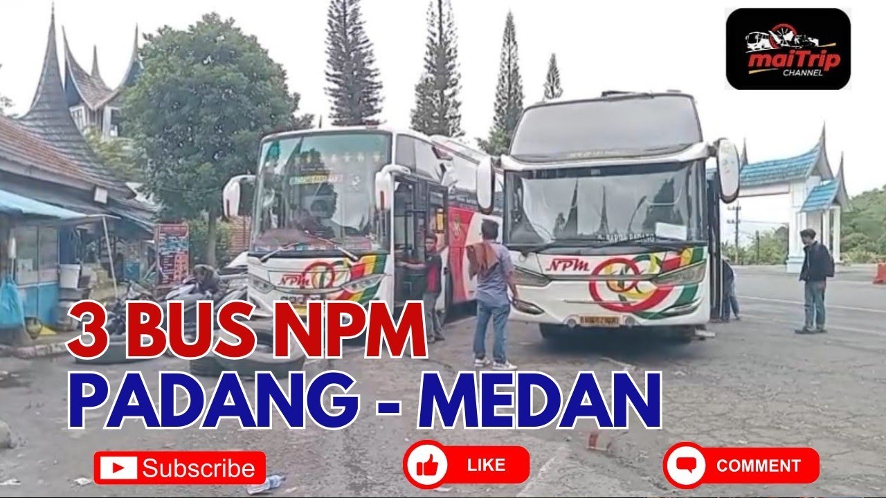 3 BUS NPM KONSISTEN LAYANI RUTE PADANG-MEDAN SETIAP HARI