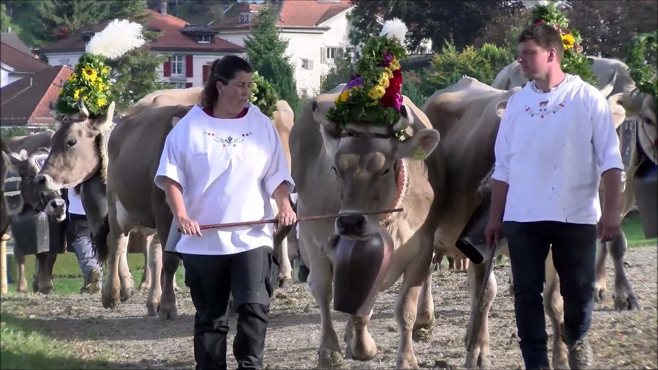 vechschau 2021 heiden -  grub / . . . abloh . . .
