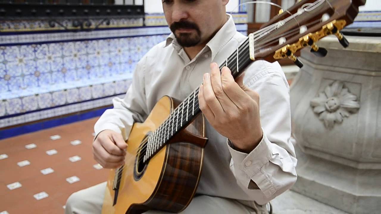BAJO EL SAUCE SOLO