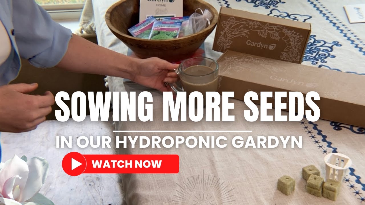 Sowing Seeds for Our Gardyn | Hydroponic Kitchen Garden