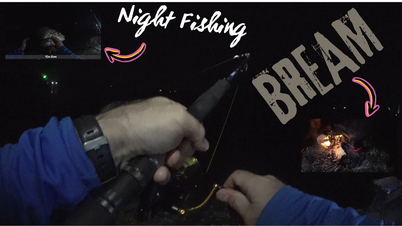 Night Fishing for Bream in Mannering - Camping, Catch and Cook on Bonfire