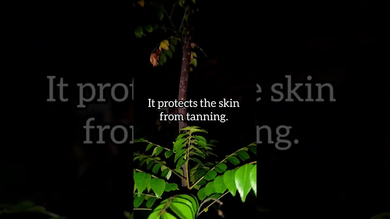 CURRY LEAVES FOR GLOWING SKIN! #youtube #skincare #shorts #subscribe #like #comment #share