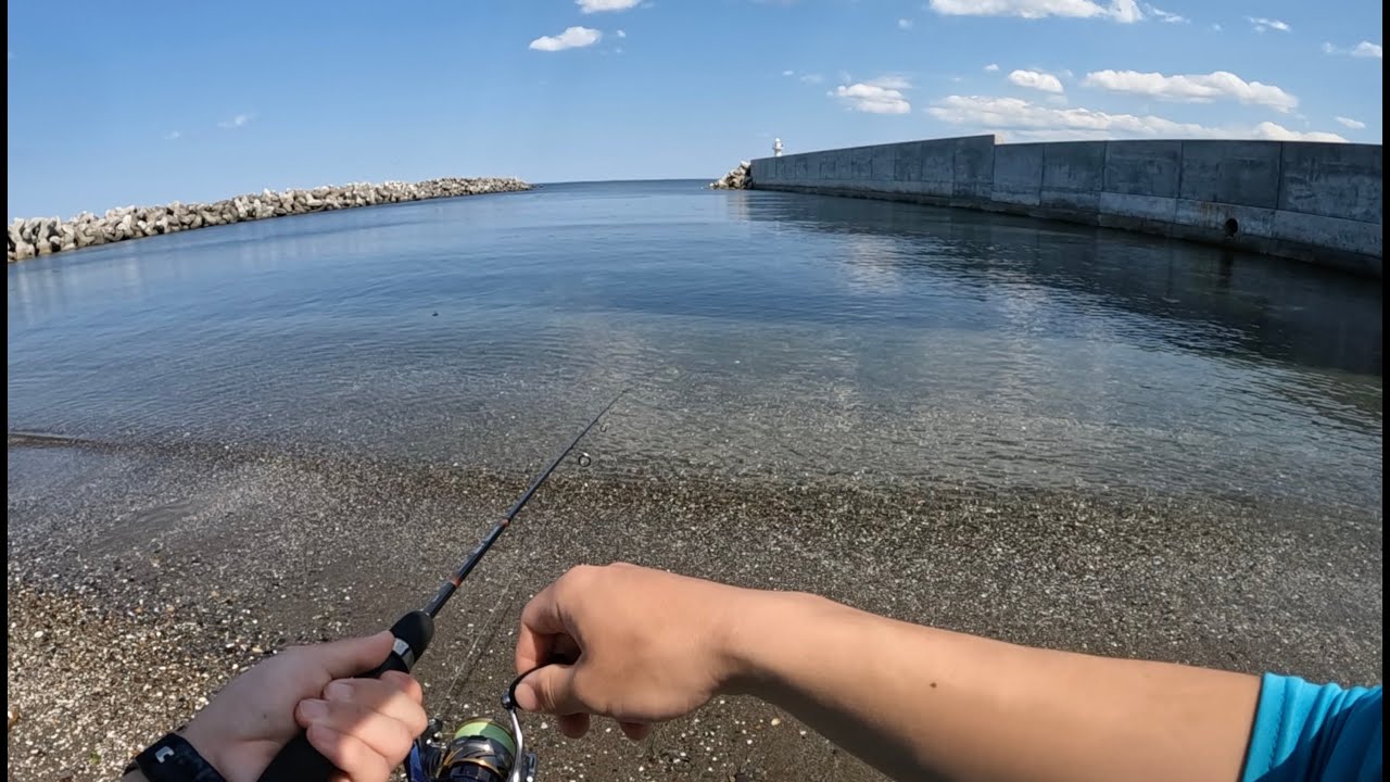 北海道の海で魚釣って塩焼きにして食べる！