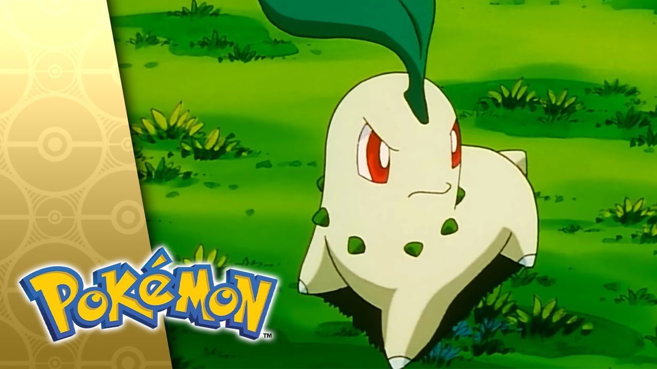 Chikorita Rescue! | POKÉMON FULL EPISODE 10 | Season 3