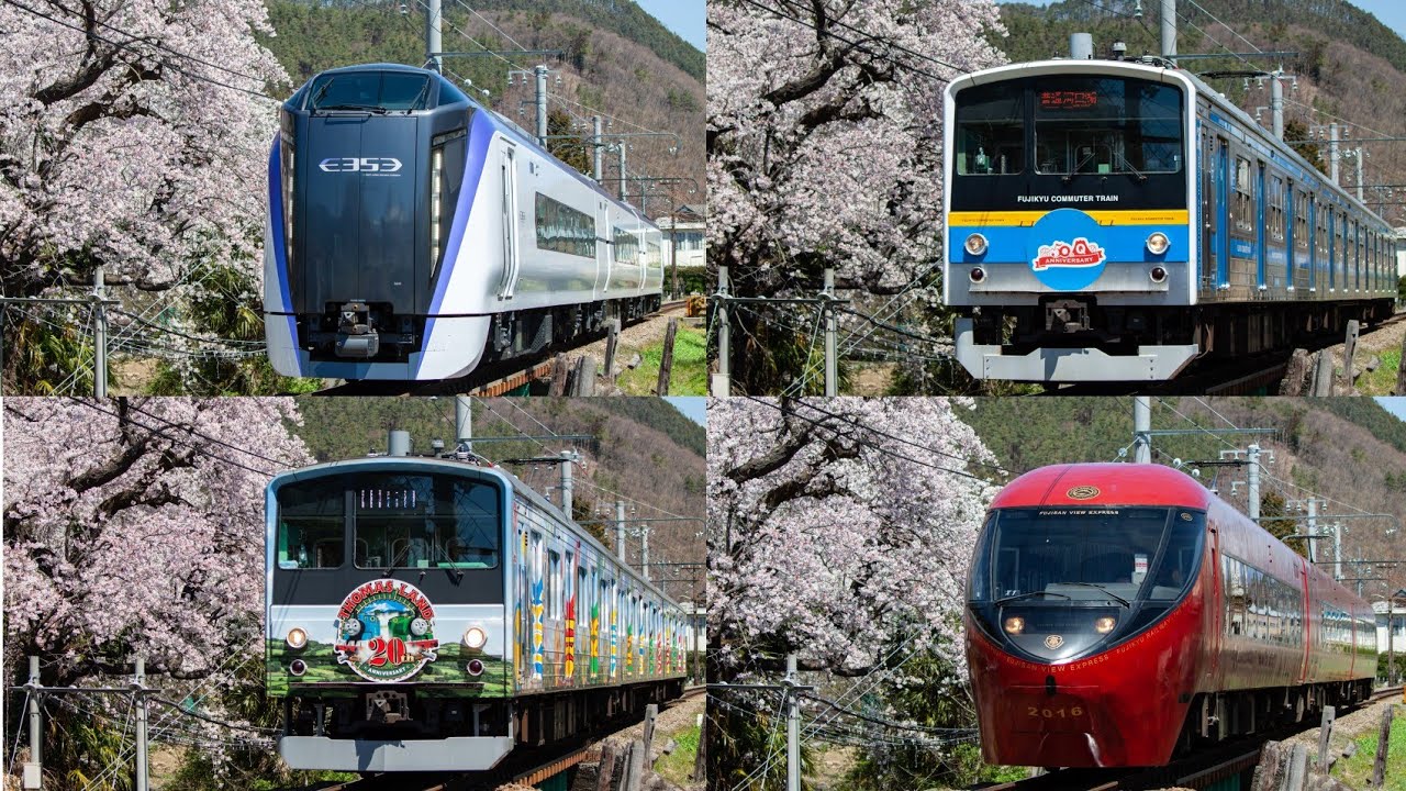 桜咲き誇る三つ峠を走る富士急行の車両たち The cars of Fujikyuko, which run through the three peaks of cherry blossoms