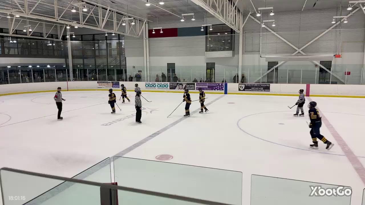 Whitby Wildcats U13A Blue vs Oshawa (Hockeyfest FINAL, Dec 14, 2025)