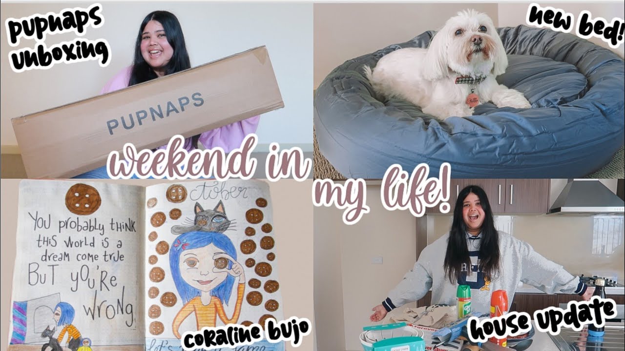 Pupnaps Dog Bed Review, Coraline Bullet Journal, House Update & More | VLOG