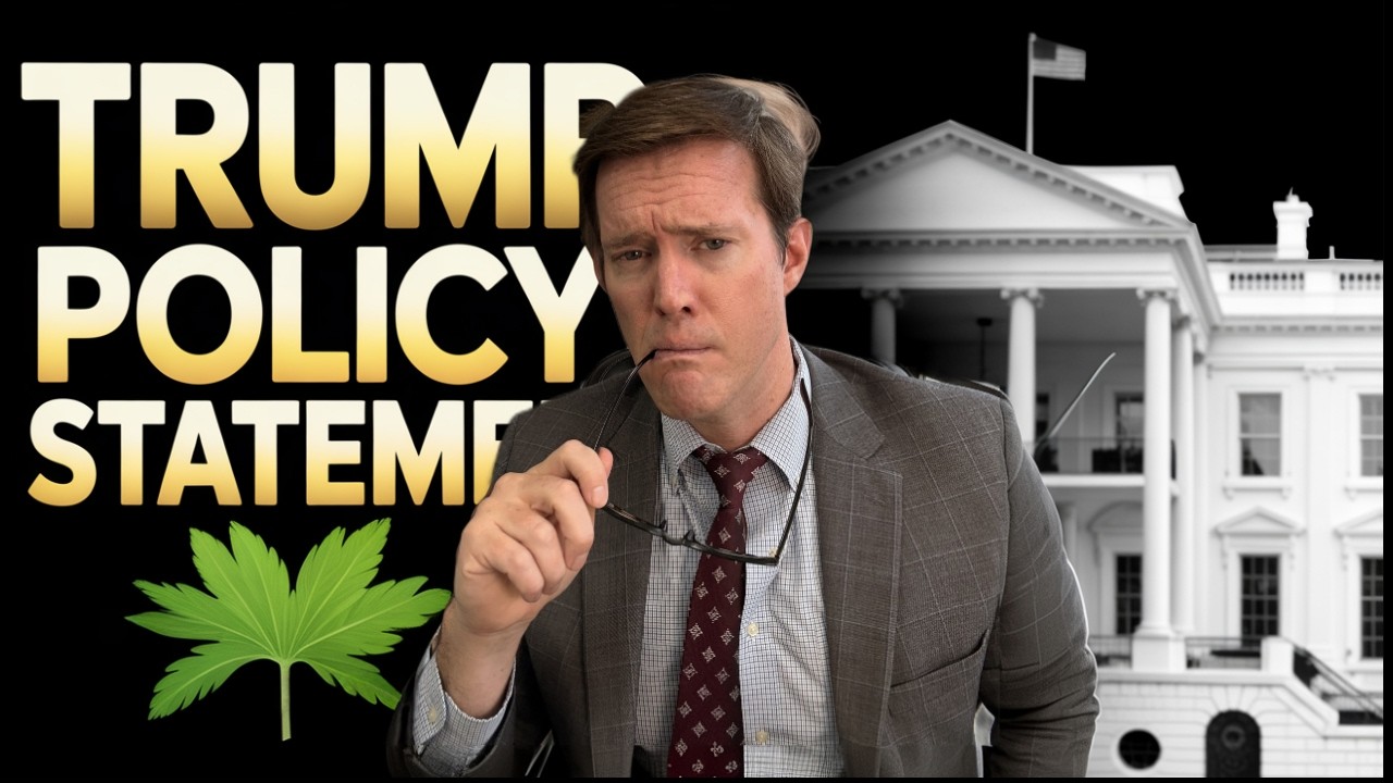 Watch What Trump Really Said About Weed | Trump&nbsp;marijuana&nbsp;statement