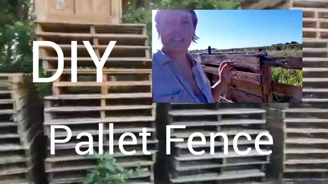 DIY Pallet Fence