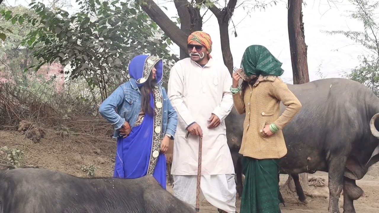 #youtubeviralvideo #newcomedy #funny पीहर की भैंस का भौकाल पार्ट 1 