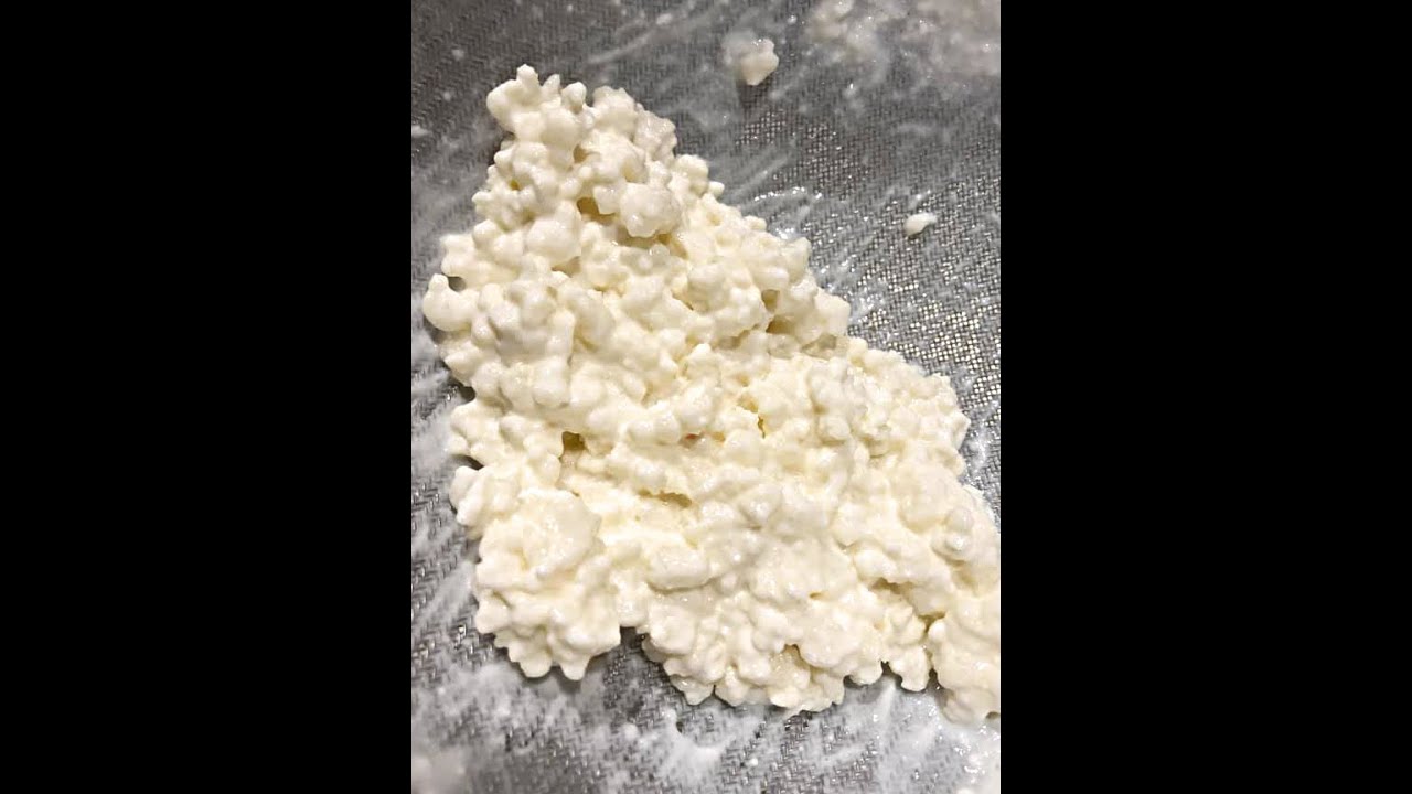 Comment nourrir les grains de kéfir de lait, étapes détaillées 