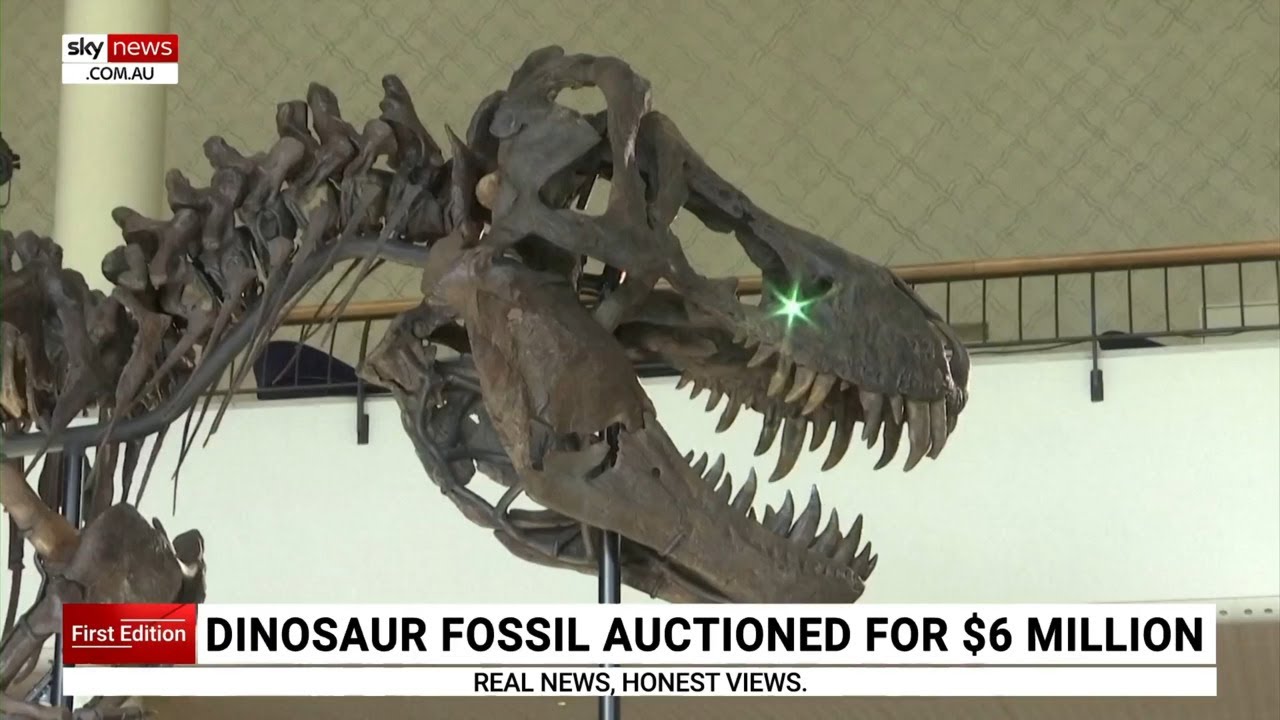 T-Rex fossil auctioned to private individual for $6 million