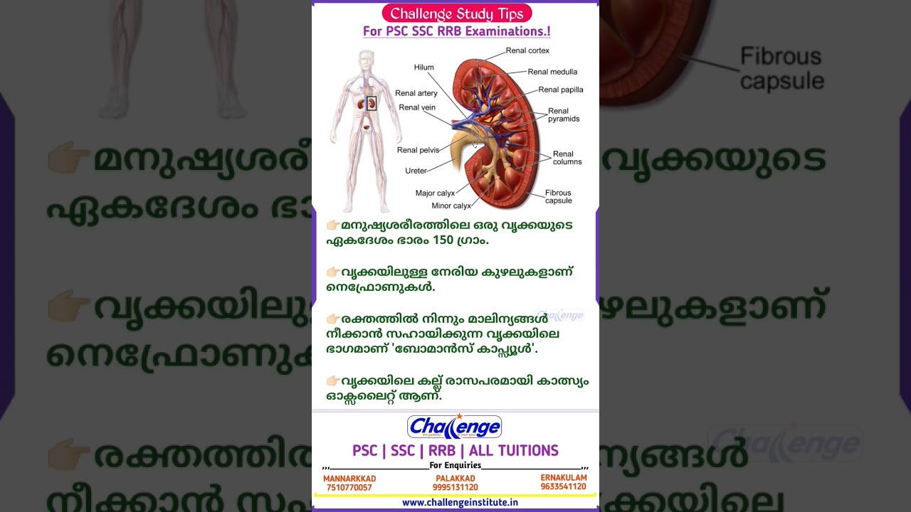Kidney | വൃക്ക | Psc questions | Ldc questions Malayalam | Psc science #psc #ldc #kidney