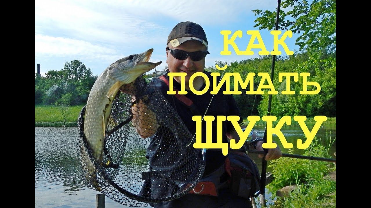 ДЖИГ-РИГ или ТОКИО-РИГ! Щука и сом на ЧУПА ЧУПС! Рыбалка летом.