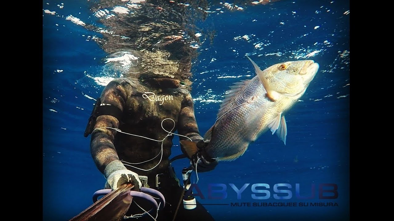 Pesca Sub : Pesca Profonda ; spearfishing : Deep Fishing