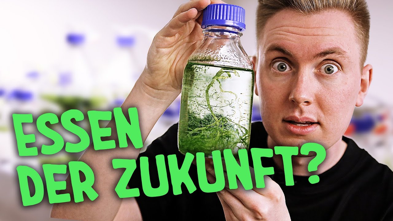 Essen der Zukunft: Foodtrends wie Algen, Pilze und Co. | AOK