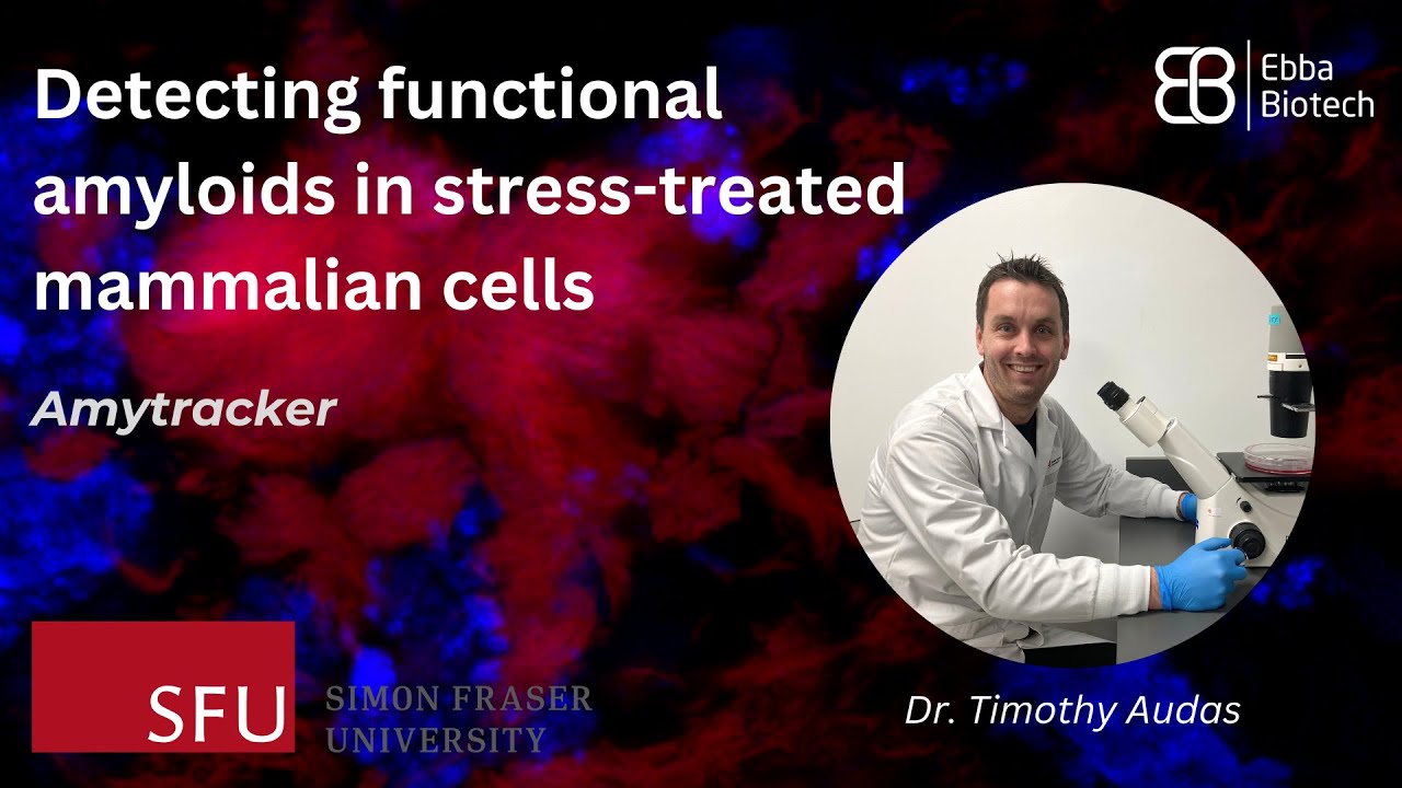 Ebba Biotech Webinar: Dr. Timothy Audas (24.12.12)