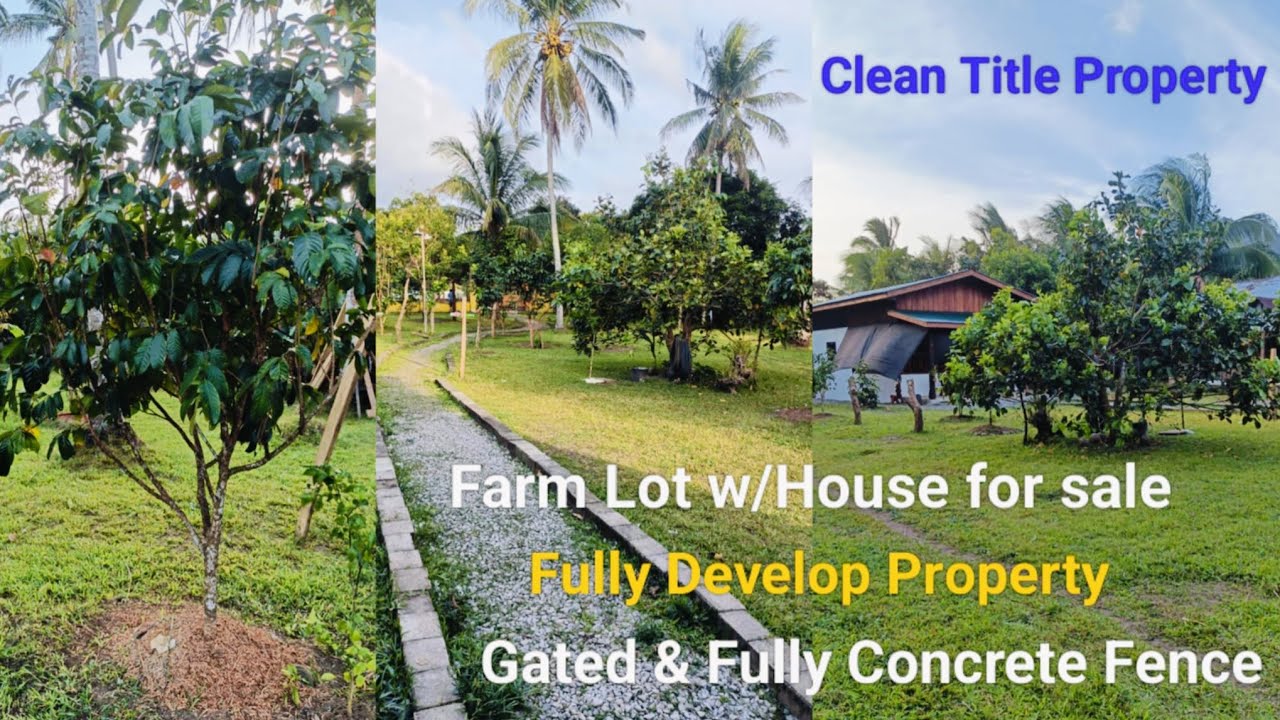 #Vlog415 CLEAN TITLE FARM LOT w/HOUSE FOR SALE | LOTS OF FRUIT BEARING TREES
