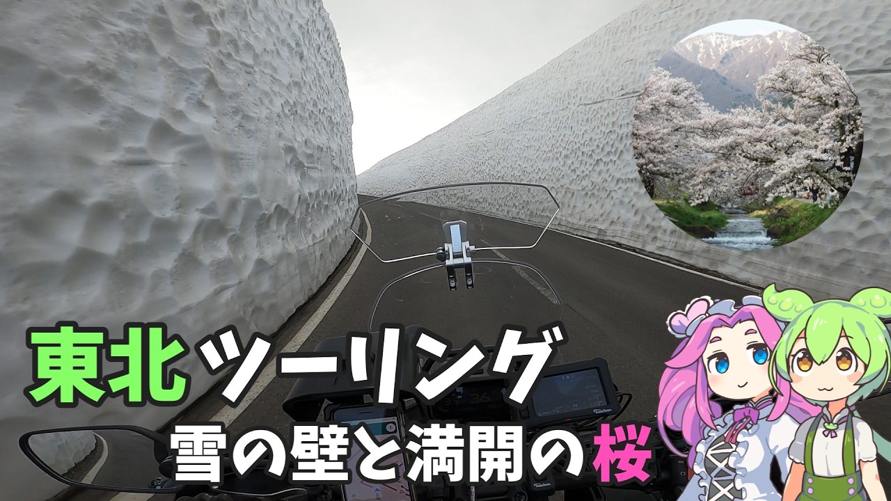 雪の壁と満開の桜 | 東北ツーリング
