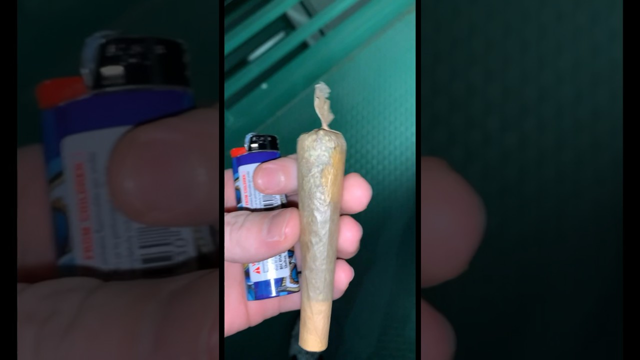 Gorilla Finger Joint / Las Vegas