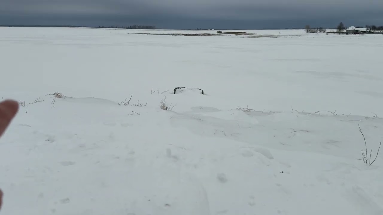 Щас в деревне мне делать нечего..