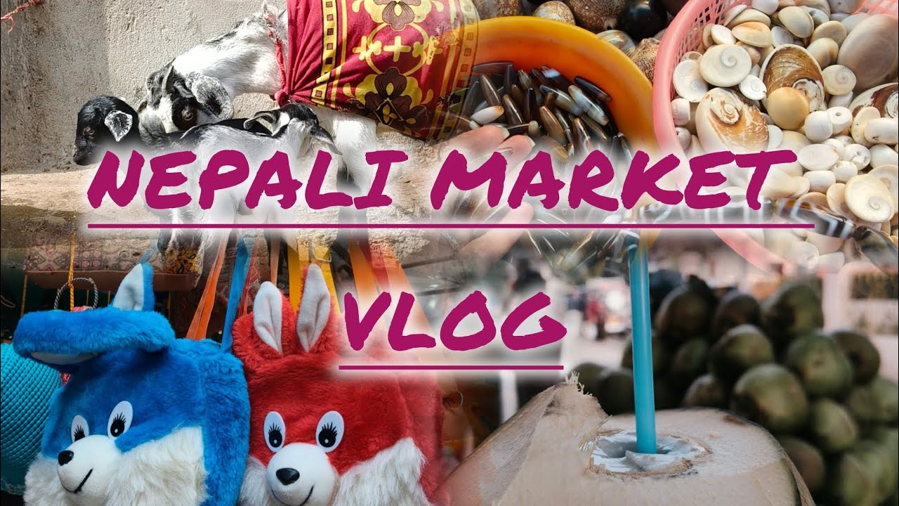  A Day at the Nepali Market: Shopping and Culture in Bodhgaya.