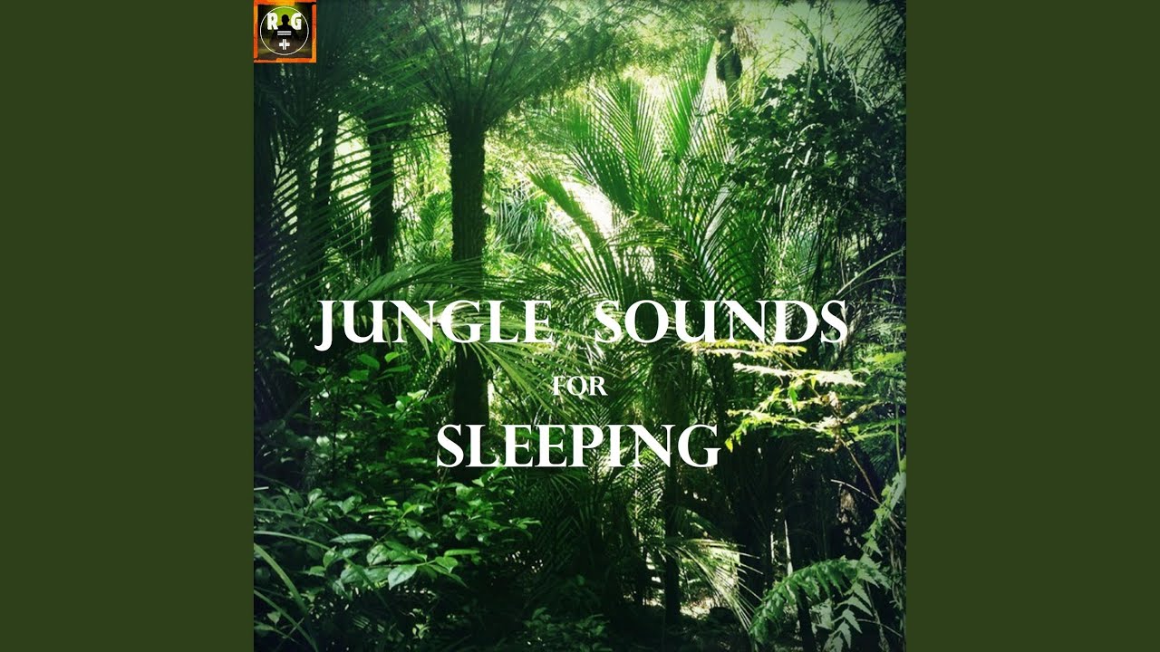 Jungle Thunderstorm With Animal Sounds, Light Rain And Strong Thunder In The Distance