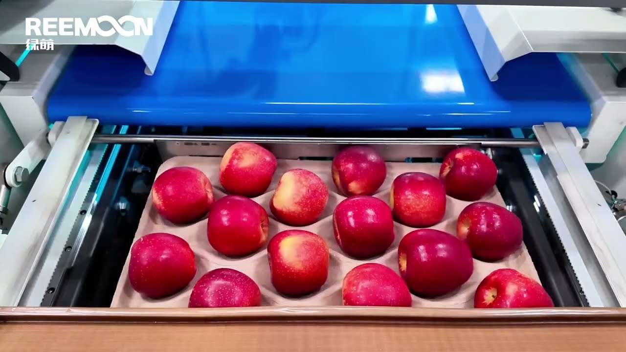 Reemoon Apple AI Sorting Equipment &mdash; Fully Upgraded