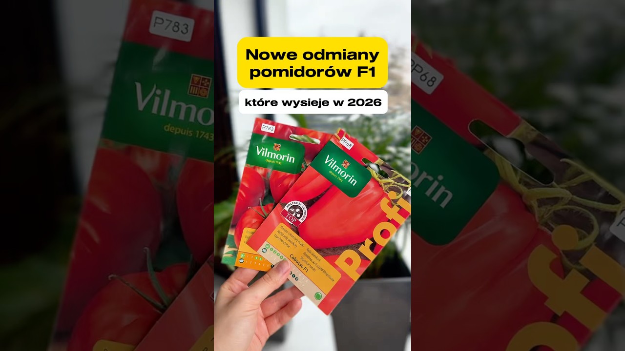New F1 tomato varieties to be sown in 2026 🍅