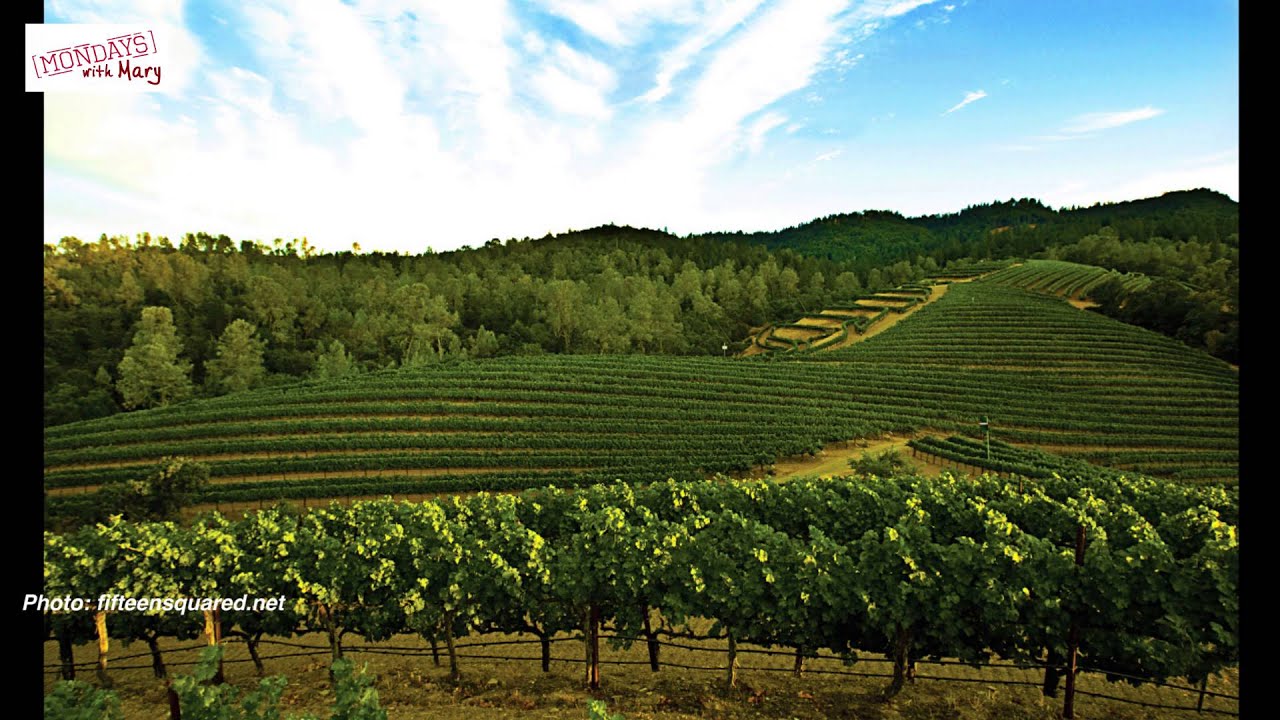 Estate Grown Wines | Mondays with Mary Ep. 80