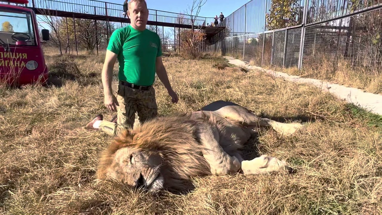 На каждый роток не накинешь ПОВОДОК!