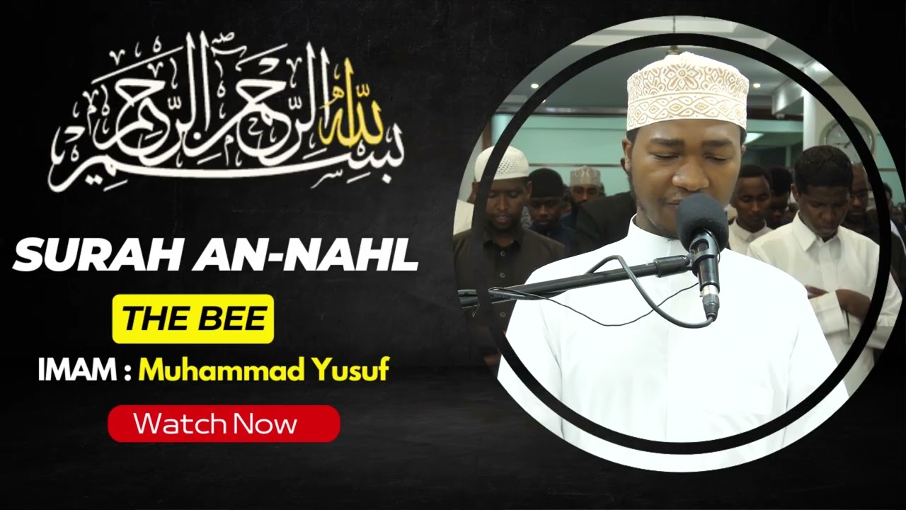 Quran: 16. Surat An-Nahl (The Bee) by Imam Muhammad Yusuf