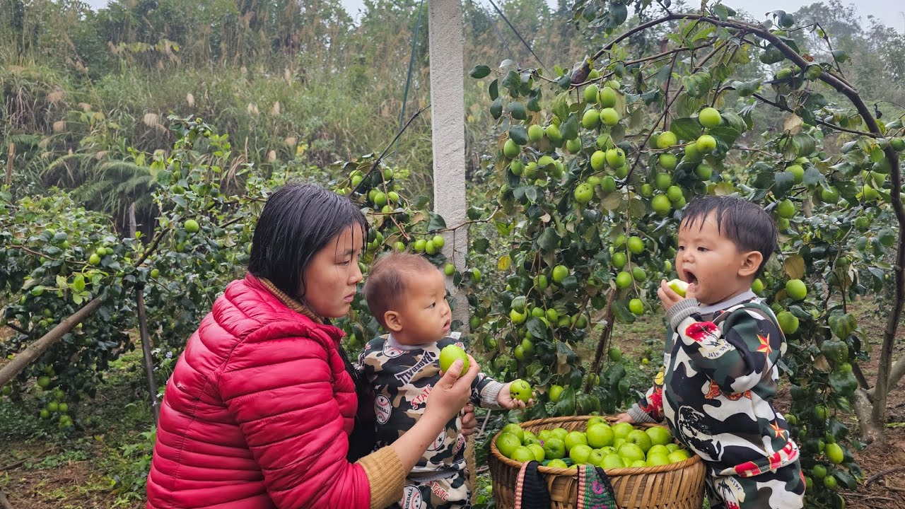 On New Year's Eve, people celebrate single mothers picking fruit to sell at the market