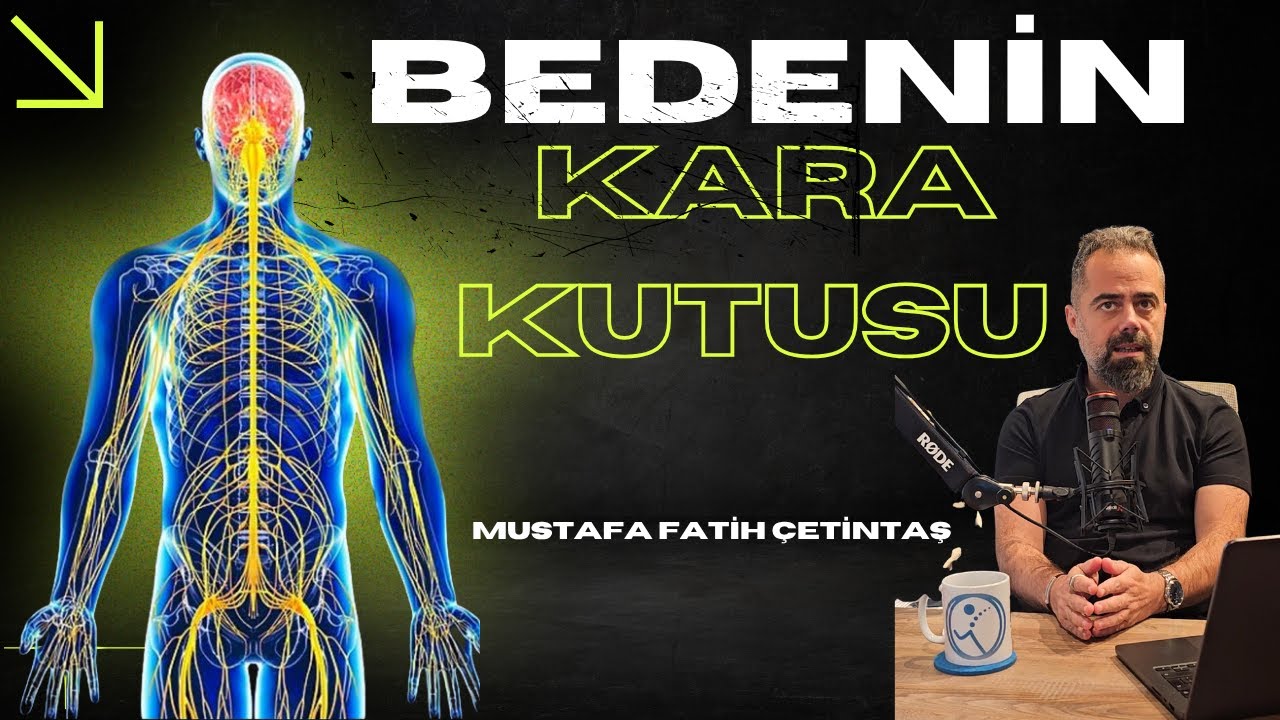 Fiziksel ve Duygusal Travmalar Ve Yaşadıklarımız Gerçekten Bedende mi Saklanıyor?