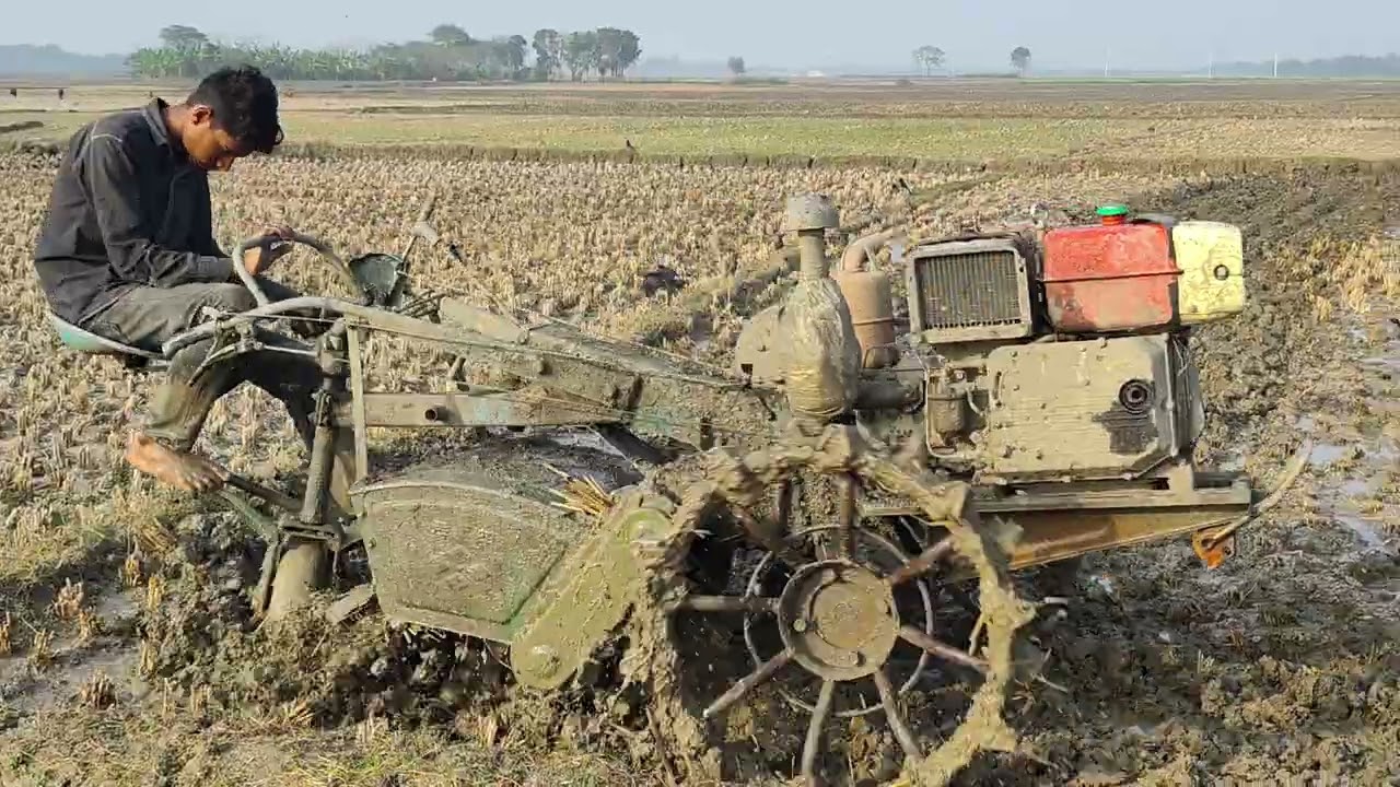 পাওয়ার টিলার দিয়ে ধান ক্ষেতে কাদার কাজ Power Tiller Mud Plowing Video