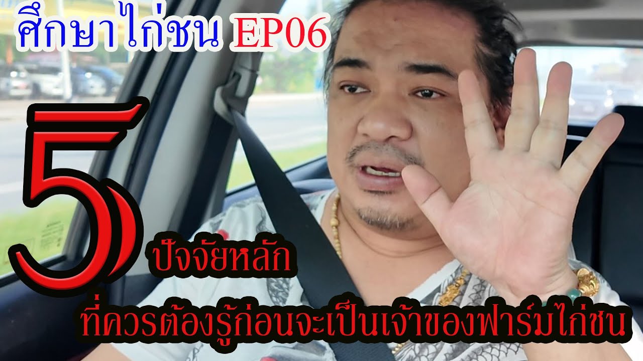 ศึกษาไก่ชนEP.06 วันนี้พูดถึง5 ปัจจัยหลักที่ต้องรู้ก่อนจะเป็นเจ้าของฟาร์มไก่ชน