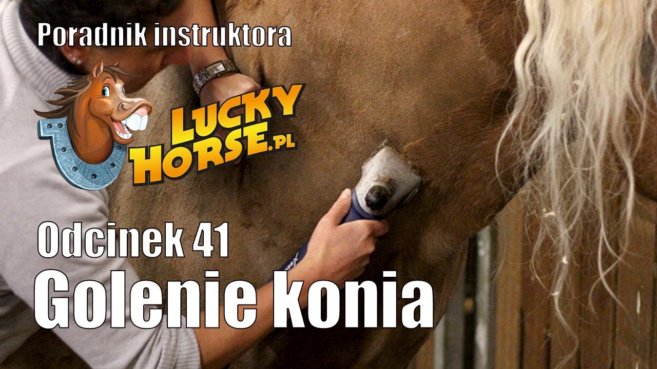Porady LuckyHorse pl - Odc41 - Golenie konia