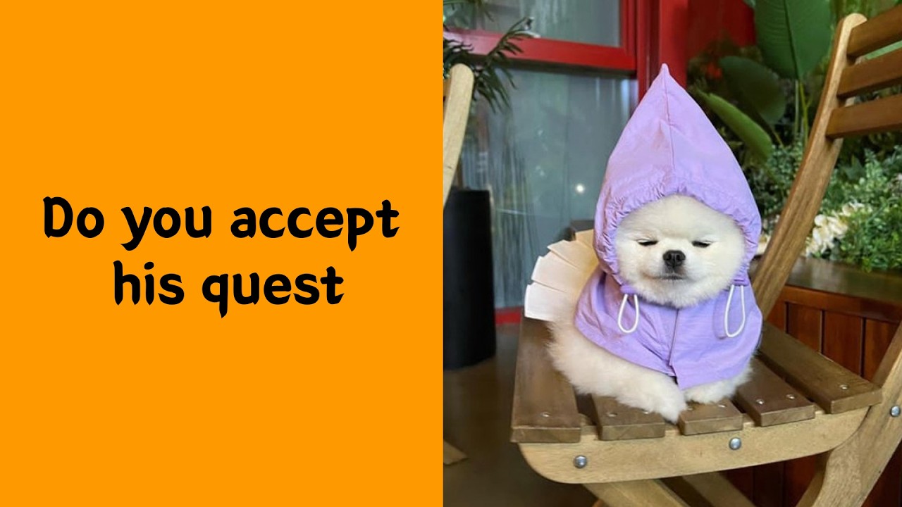 “What Breed Is This?” - 50 Dogs That Defy Explanation
