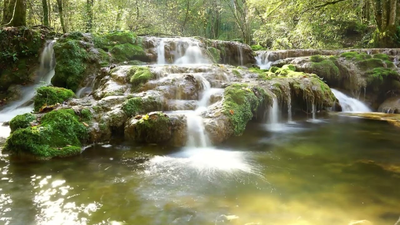 Relaxing Piano Music For The Soul | Relaxing Space in the Forest With Streaming Sound