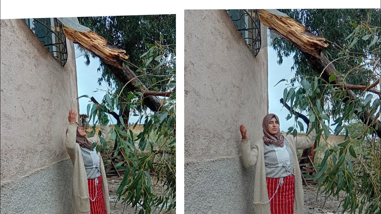 ليله واش من ليله دازت 🤲علينا ديال الرعب يا ربي🌧 تلطف بنا