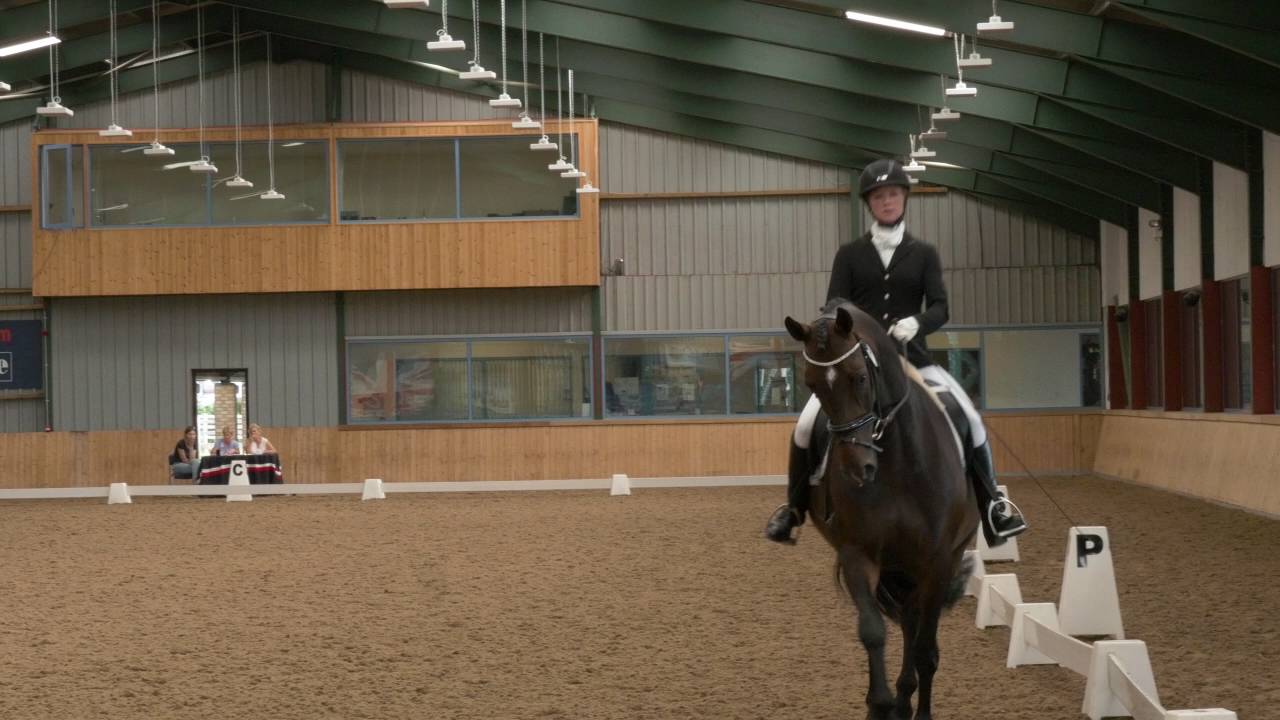 Charlotte and Murphy Medium 61