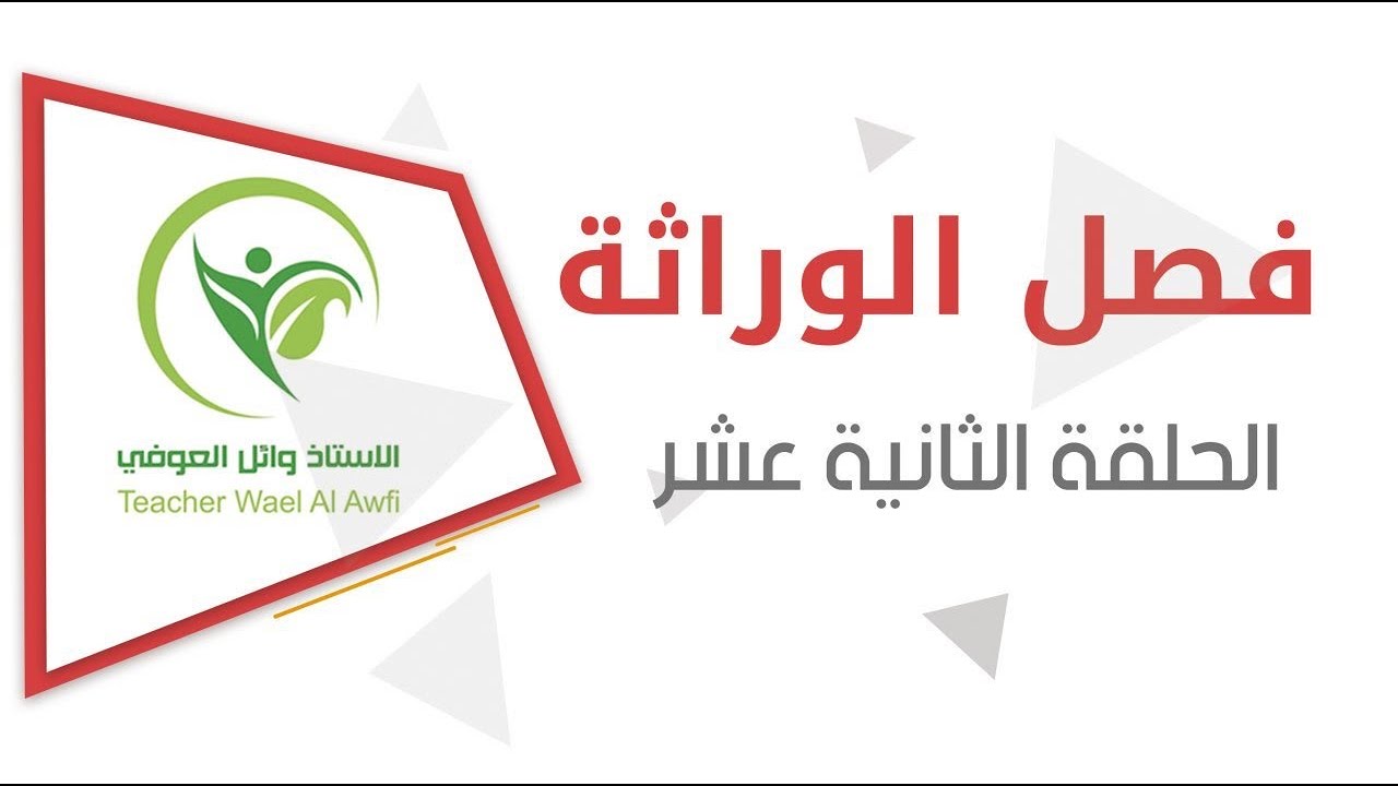 الفصل الخامس الوراثة / الاليلات المتعددة / فصائل الدم واهم الشرحيات والاسئلة الوزارية