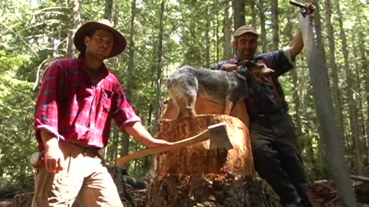 Crow Foot Logging BC