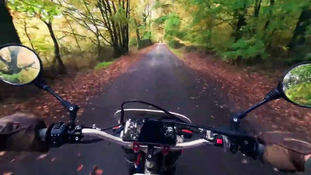 Relaxing Autumn Motor Bike Ride | Leaf Crunch ASMR Therapy
