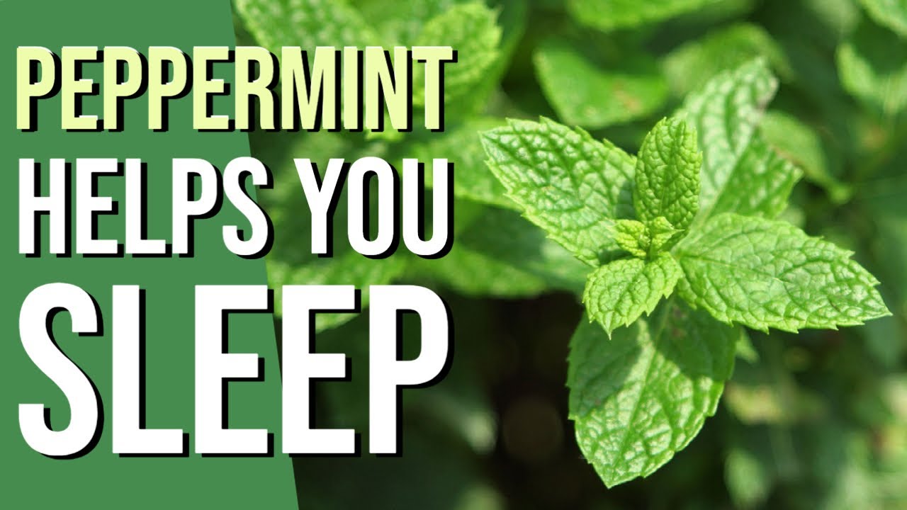4 Health benefits of using PEPPERMINT I Free Online Class