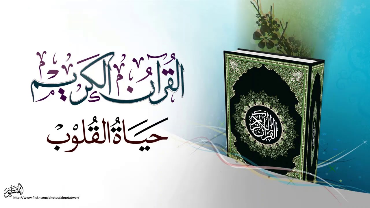 الشيخ العلامة محمد بن على أدم الاثيوبي شرح كتاب عمدة التفسير سورة البقرة من اولها