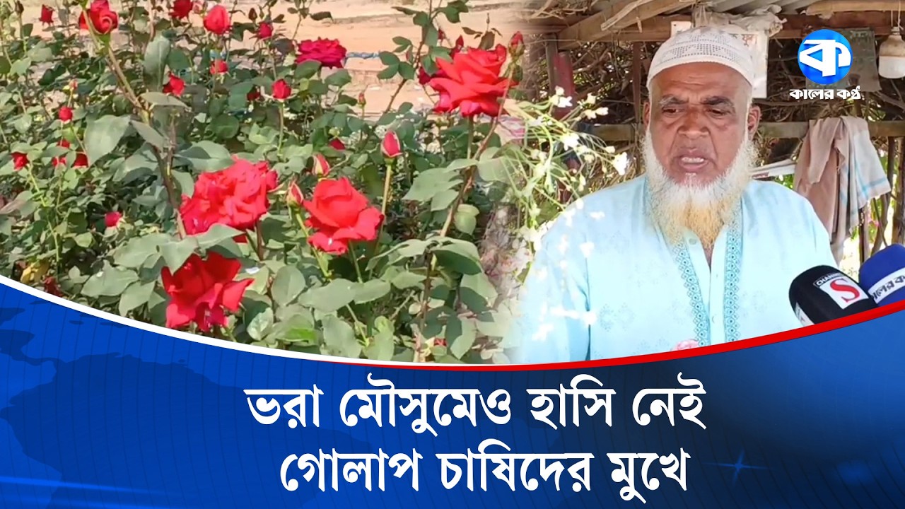 সৌন্দর্যের আড়ালে লুকিয়ে আছে হতাশার গল্প | Rose Farmers | Kaler Kantho