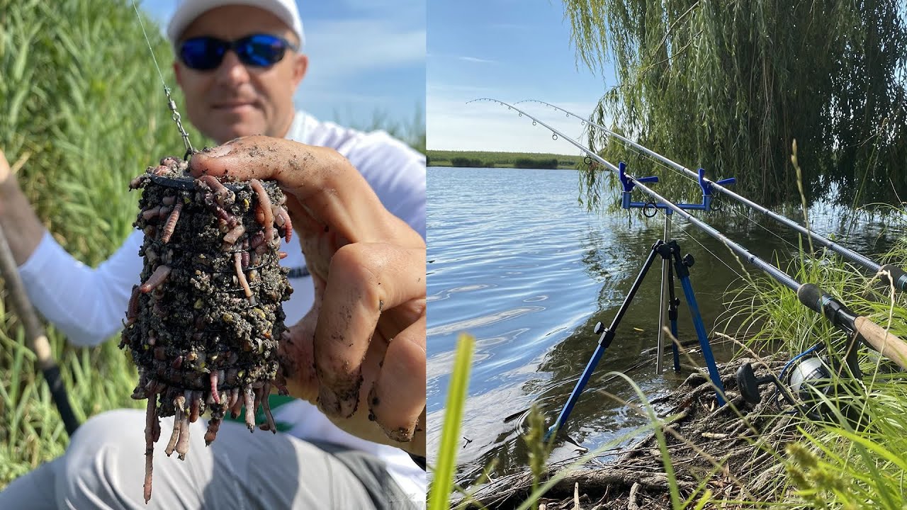 Lov klasickou feeder technikou s červy na vodní nádrži
