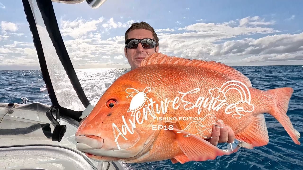 HINCHINBROOK, GREAT BARRIER REEF, LUCINDA, RED EMPEROR, NANNYGAI, CORAL TROUT, SPEARFISHING