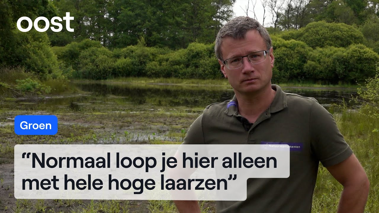 Insectenleven is ten dode opgeschreven met deze droogte | RTV Oost